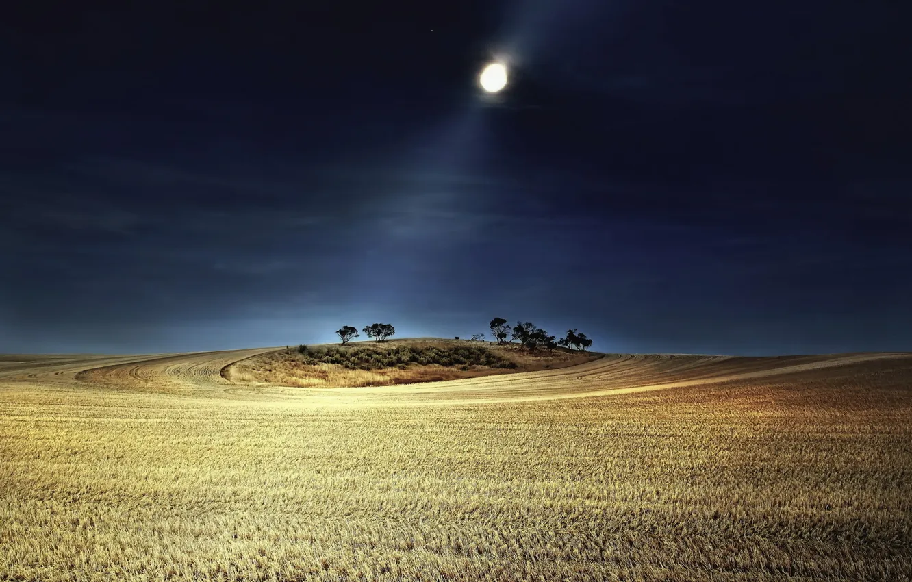 Фото обои поле, пейзаж, ночь