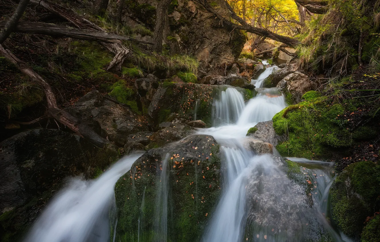 Фото обои осень, лес, деревья, ручей, водопад, каскад, Argentina, Аргентина