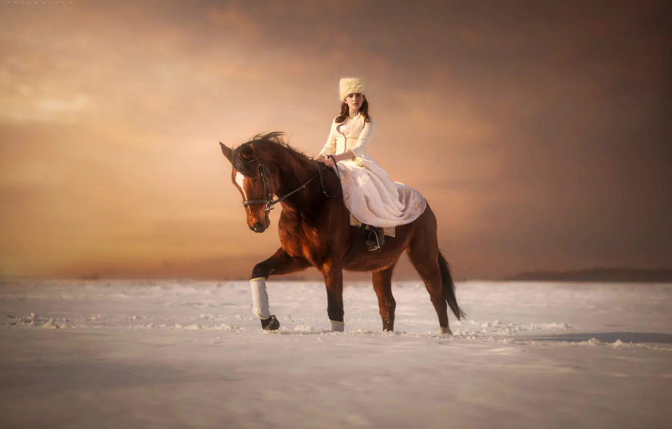 Фото обои зима, девушка, снег, лошадь, всадница, Pawel Szamreta