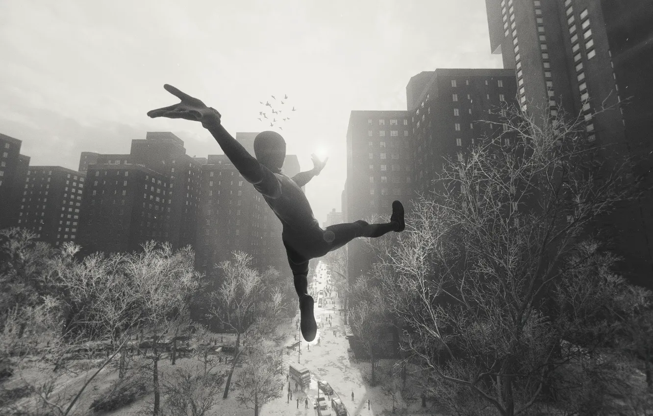 Фото обои черно белое, marvel, человек паук, spider man, miles morales