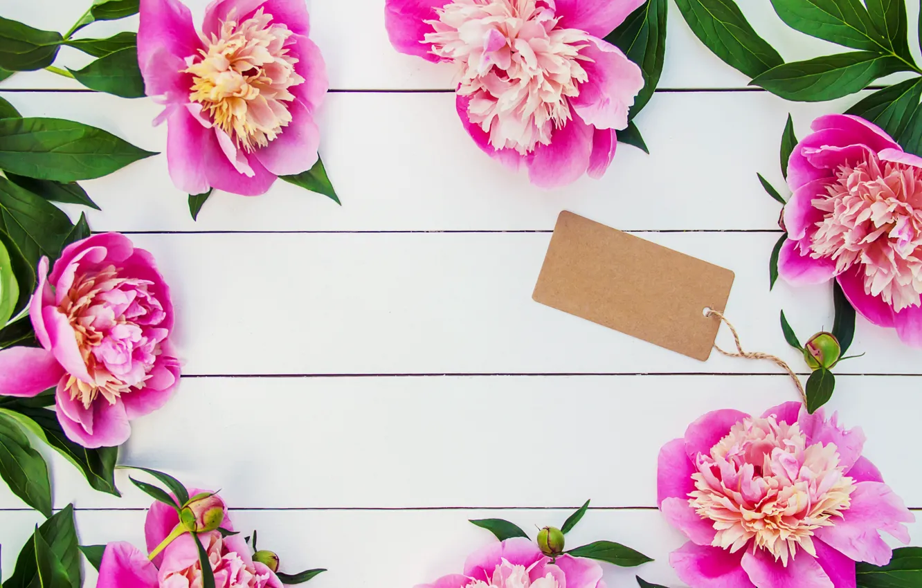 Фото обои цветы, букет, розовые, wood, pink, flowers, beautiful, пионы
