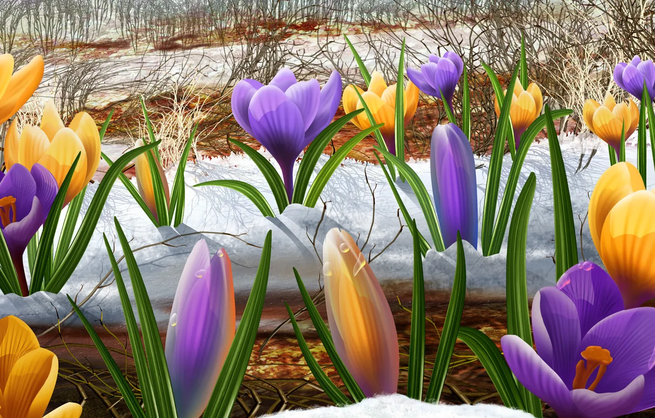 Фото обои рисунок, весна, подснежники, первоцвет