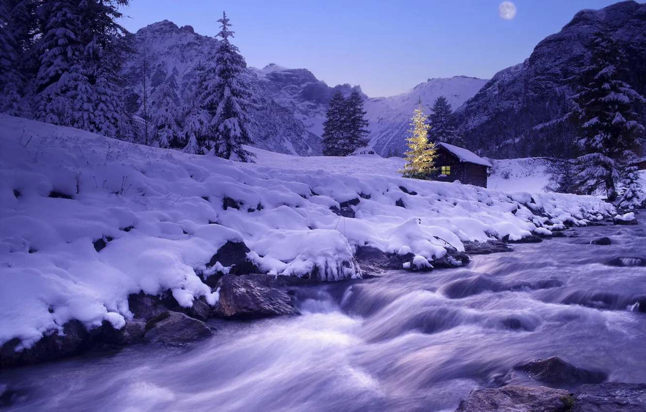 Фото обои зима, снег, река, елка