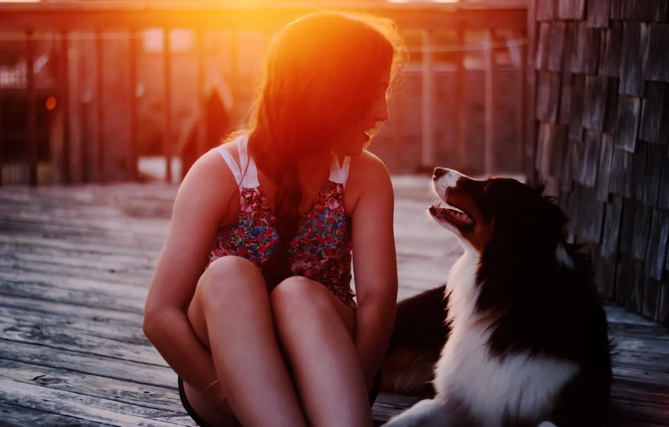 Фото обои девушка, свет, настроение, собака