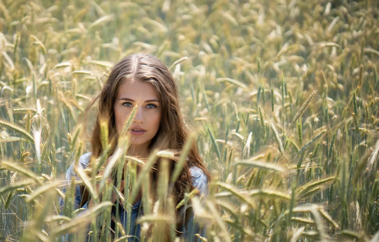 Фото обои поле, взгляд, девушка, лицо, милая, модель