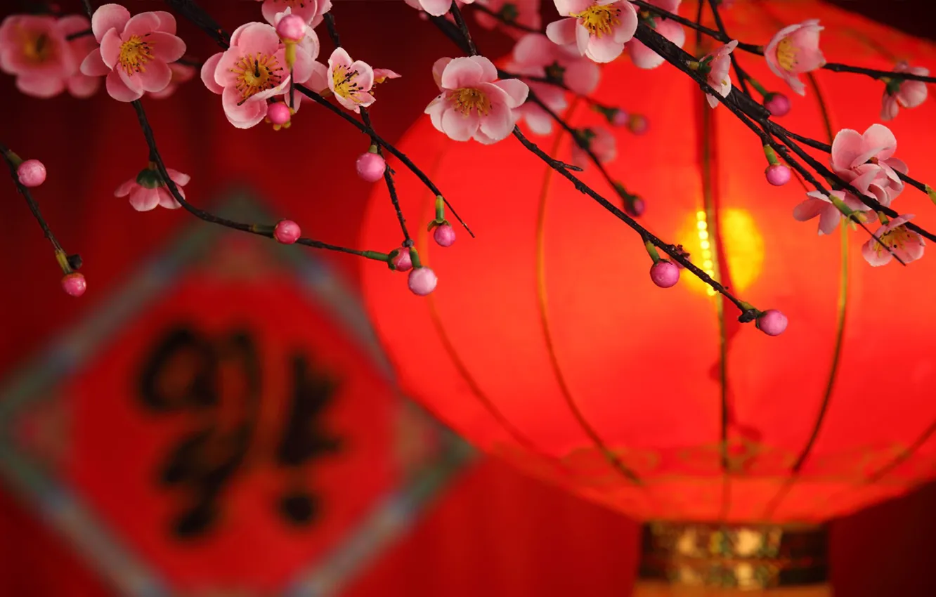 Фото обои цветы, ветка, лепестки, фонарик, Китай