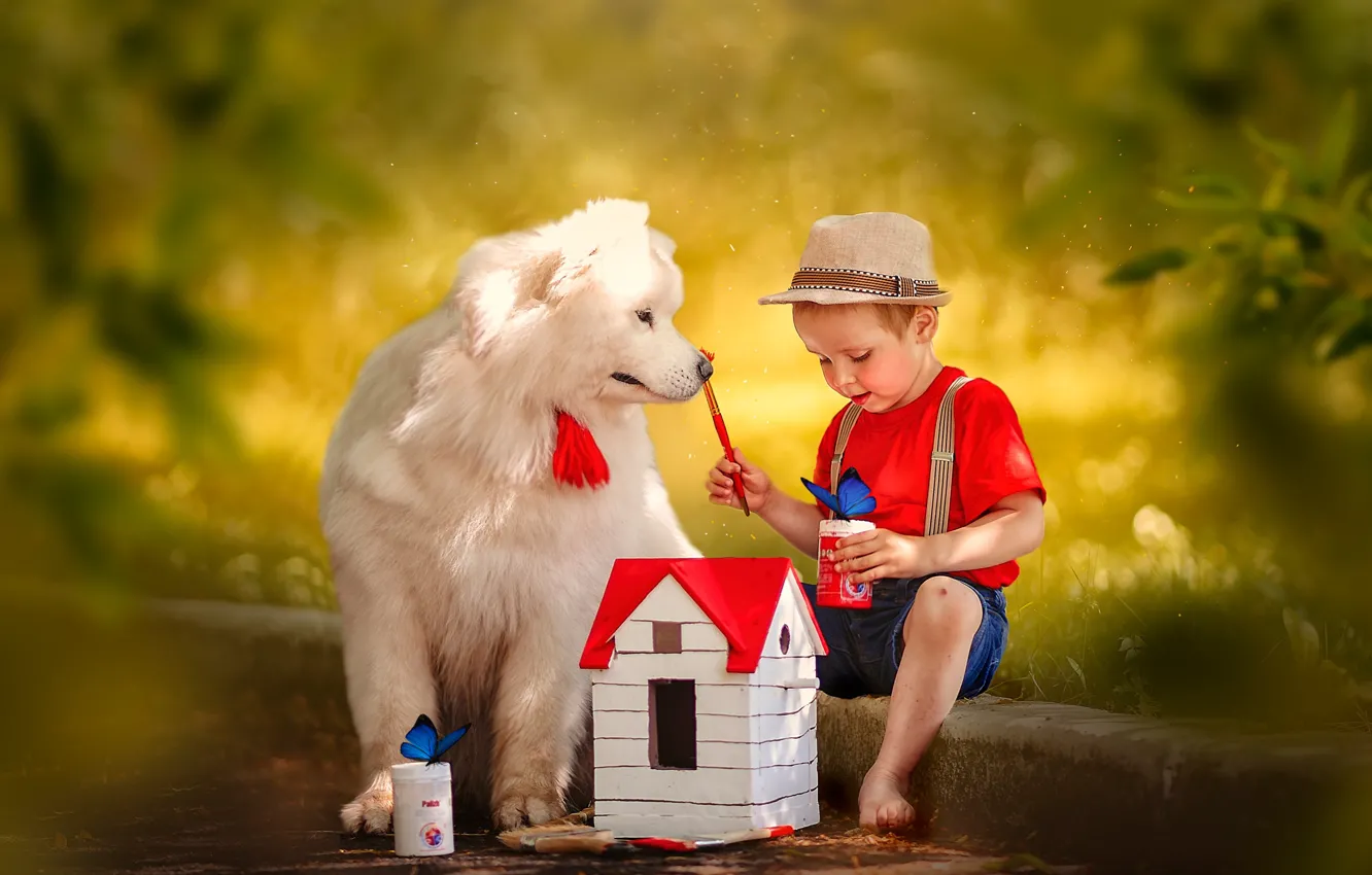 Фото обои бабочки, собака, шляпа, мальчик, домик, боке, Ксения Лысенкова
