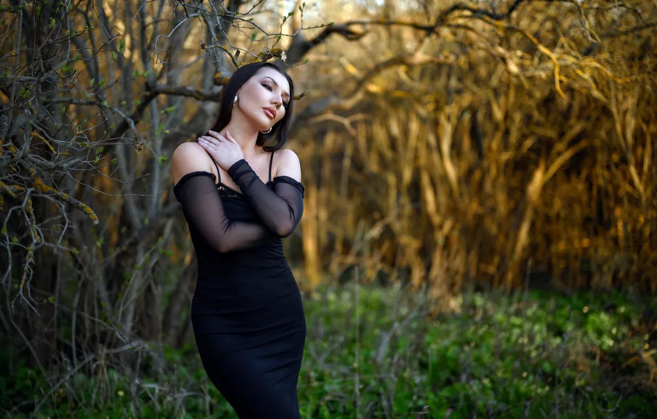 Фото обои девушка, азиатка, Lana