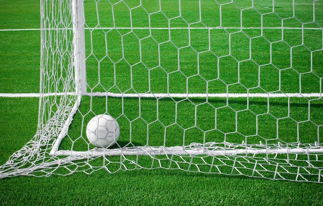 Фото обои поле, трава, сетка, футбол, мяч, ворота, гол, стадион