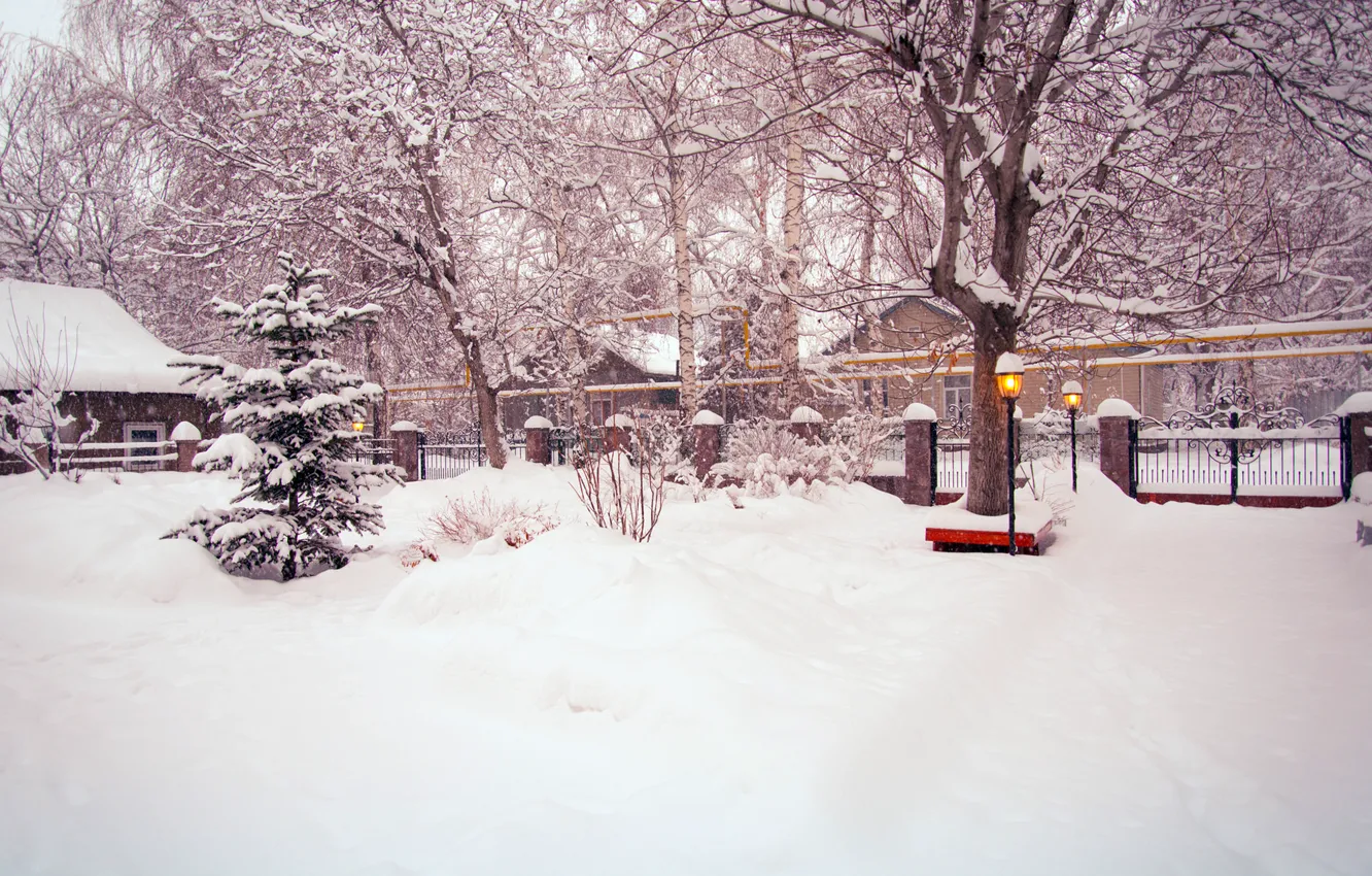 Фото обои зима, дорога, снег, деревья, улица, забор, елка, двор