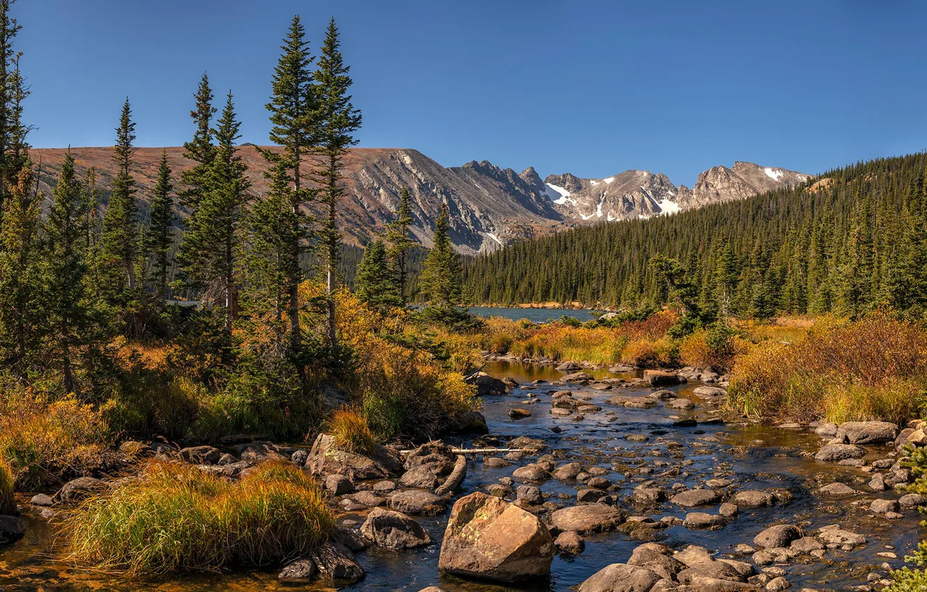 Фото обои лес, горы, ручей, Колорадо, панорама, речка, Colorado, Indian Peaks Wilderness
