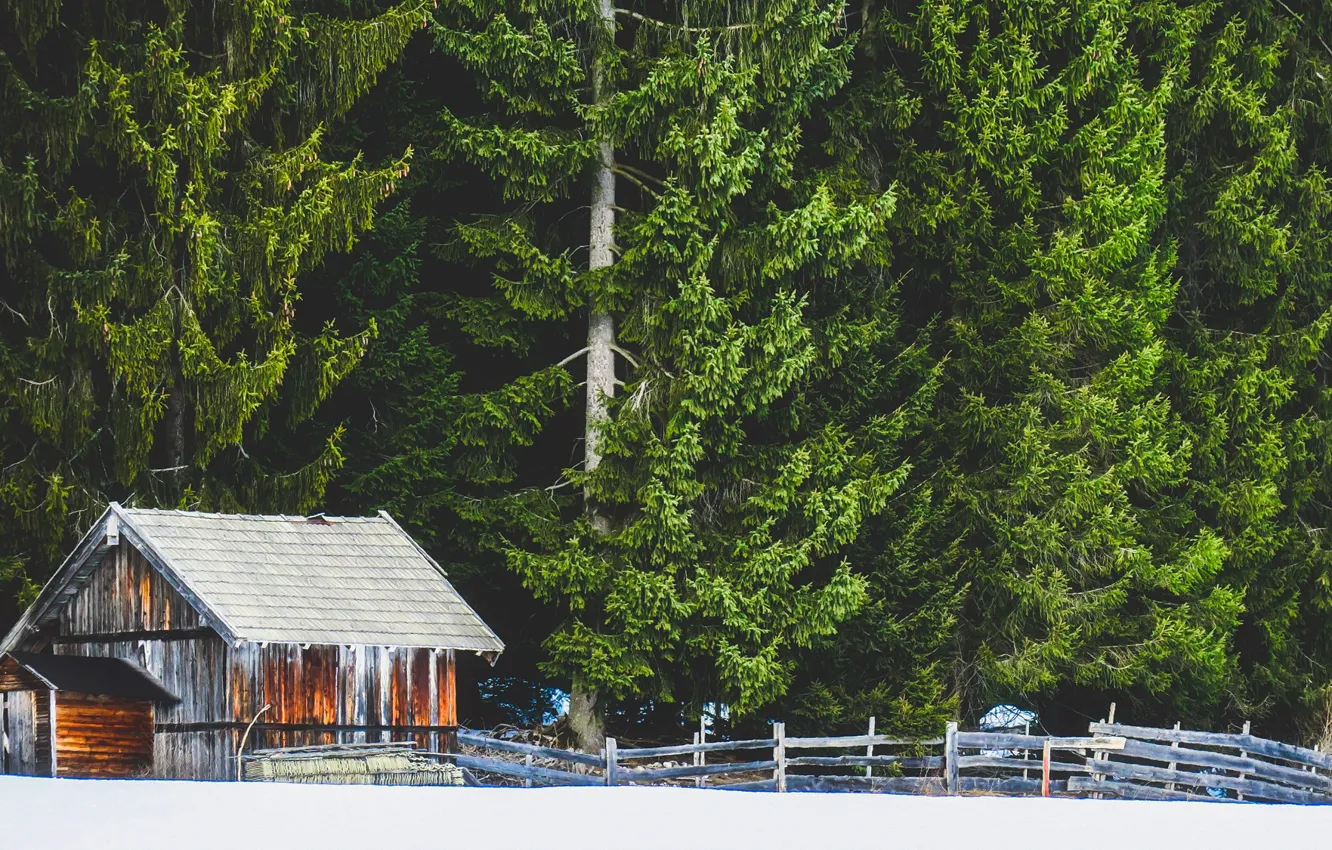Фото обои зима, лес, снег, деревья, забор, домик, опушка