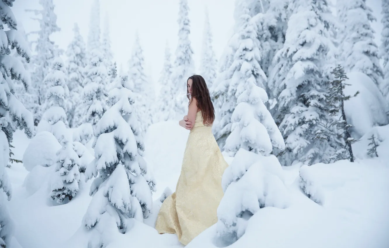 Фото обои лес, девушка, снег, мороз, холодно, Lichon, Cold Winter