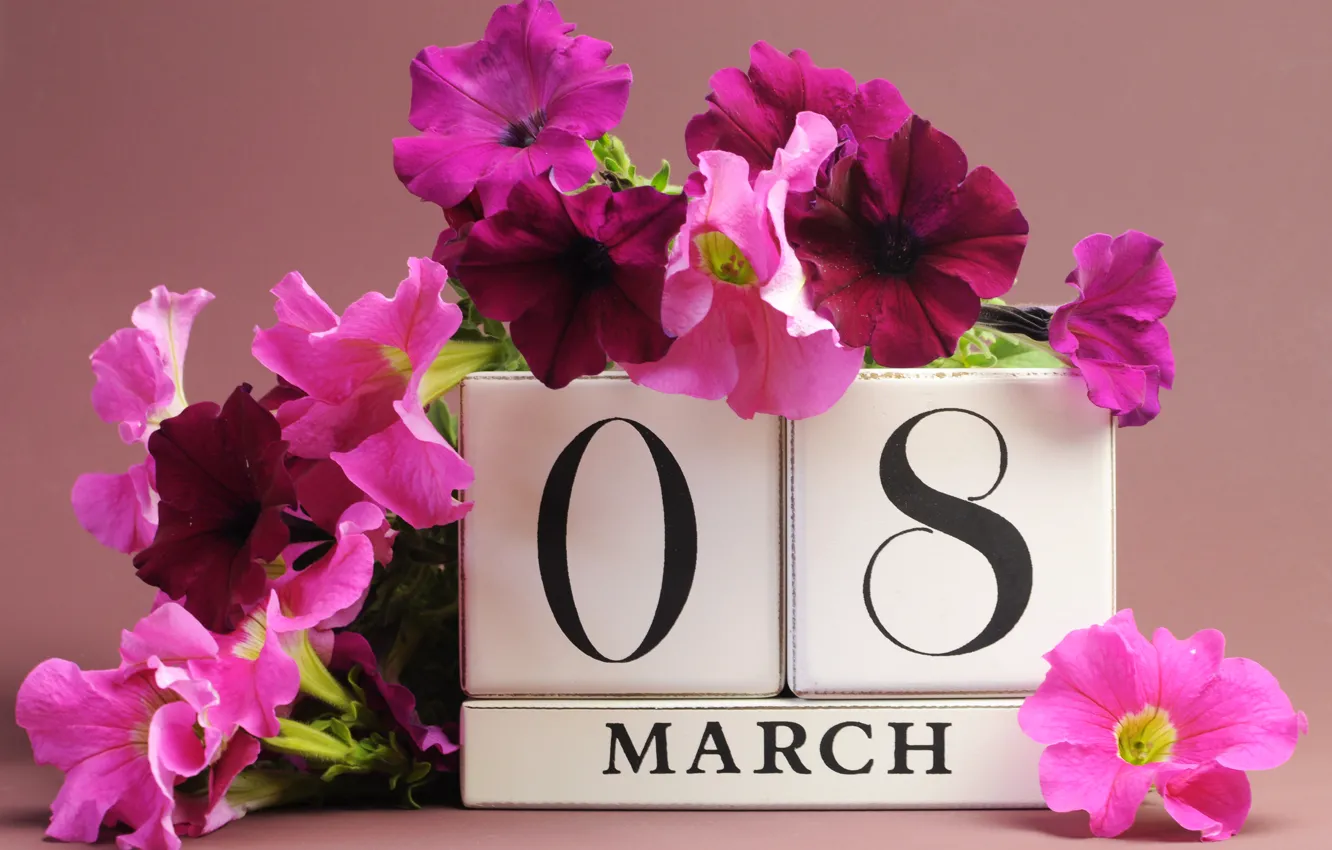 Фото обои цветы, 8 марта, дата, поздравление, петунья, женский день