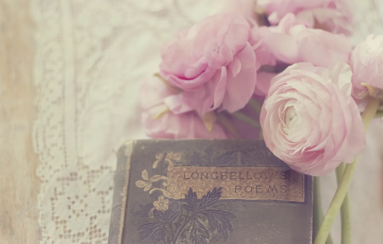 Фото обои цветы, лепестки, книга, розовые, белые, бутоны, лютики, ranunculus