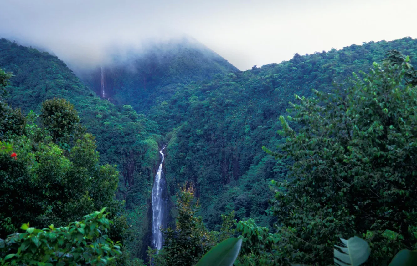 Фото обои горы, водопад, Национальный парк, Гваделупа