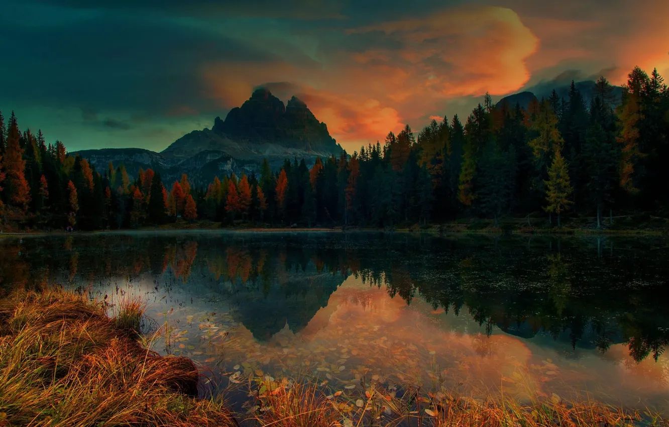 Фото обои лес, горы, озеро, сумерки