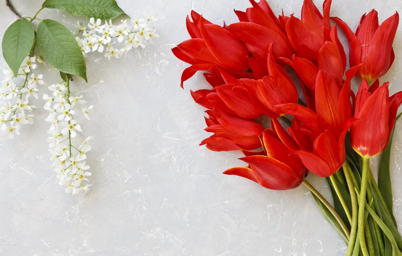 Фото обои цветы, букет, тюльпаны, красные, red, fresh, flowers, tulips