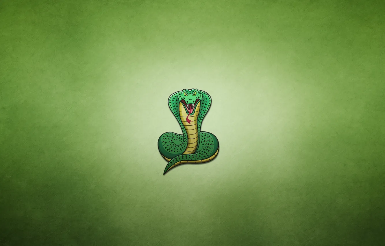 Фото обои змея, минимализм, кобра, snake, cobra, зеленоватый фон, толстопузая