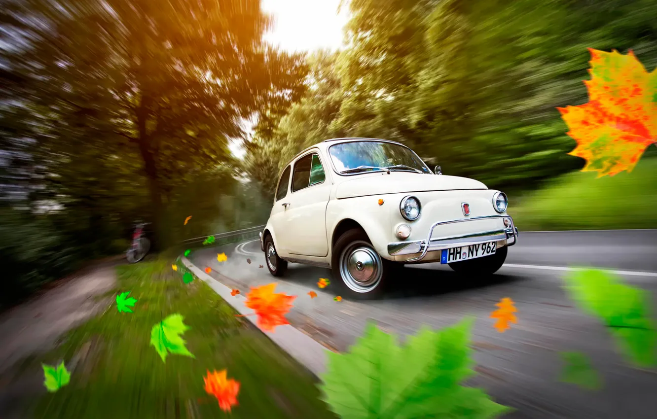 Фото обои дорога, осень, листья, автомобиль, Germany, Fiat 500, Hamburg
