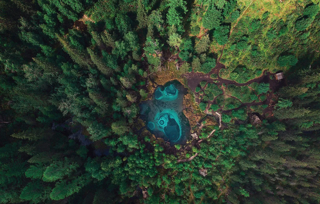 Фото обои forest, blue, water