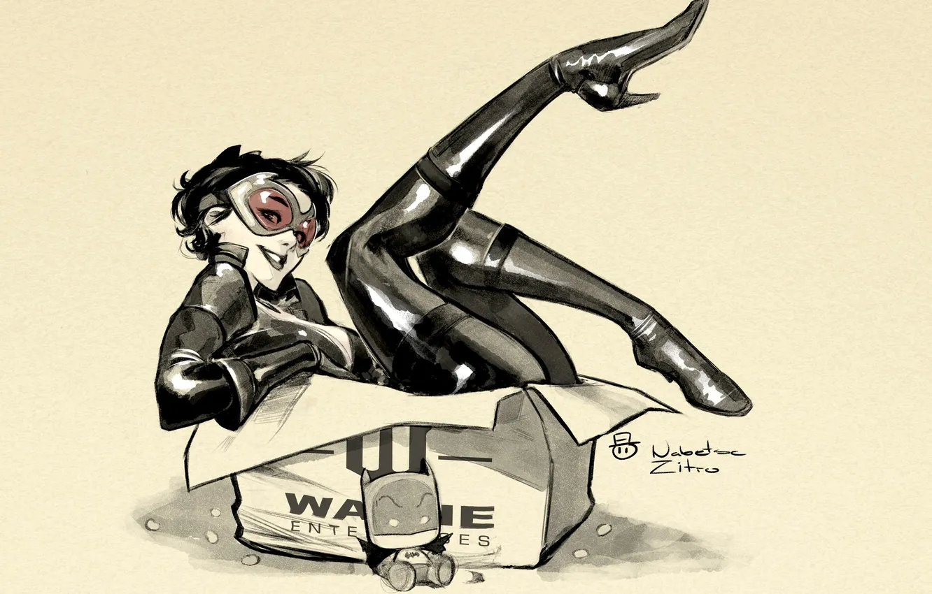 Фото обои girl, fantasy, Batman, minimalism, comics, artwork, fantasy art, DC Comics