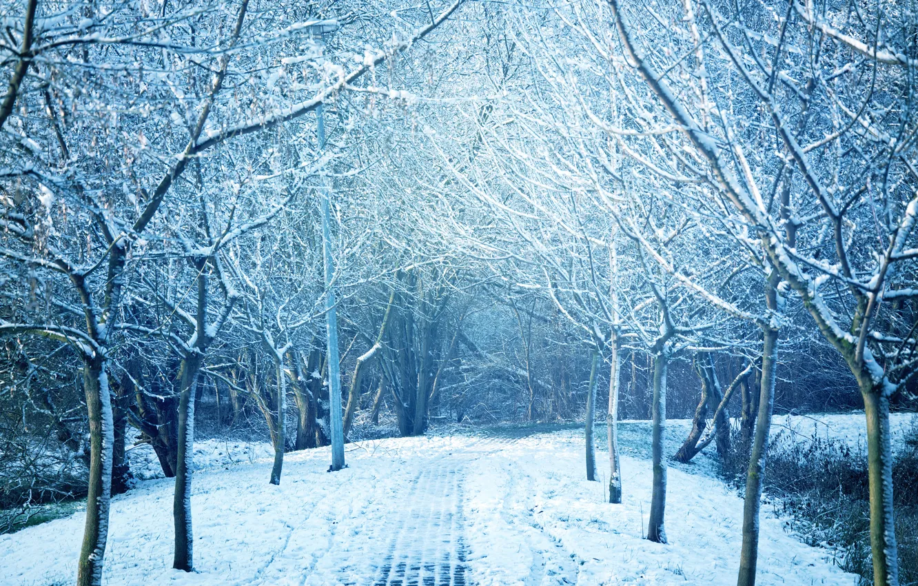 Фото обои зима, снег, деревья, пейзаж, снежинки, природа, зимний, landscape