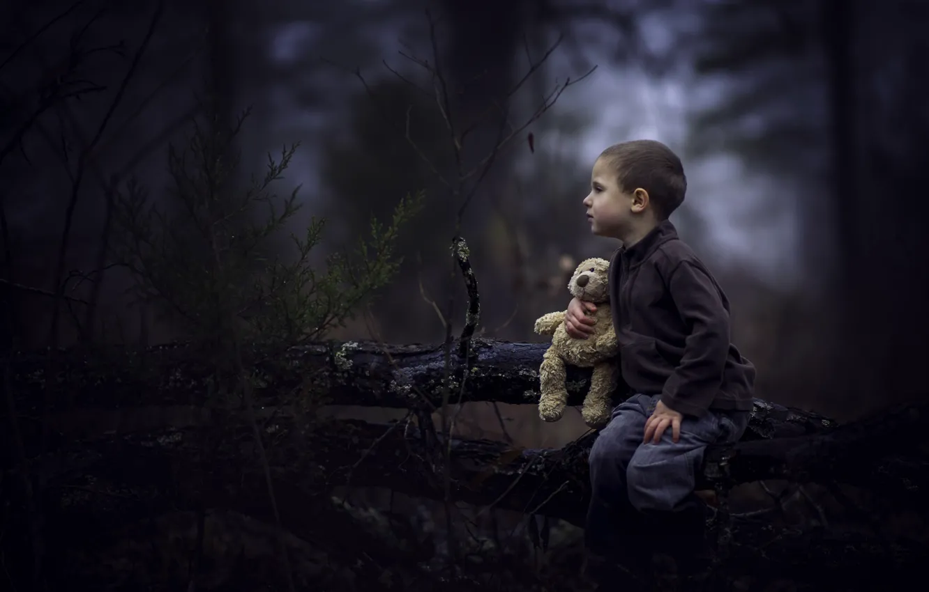 Фото обои лес, игрушка, мальчик