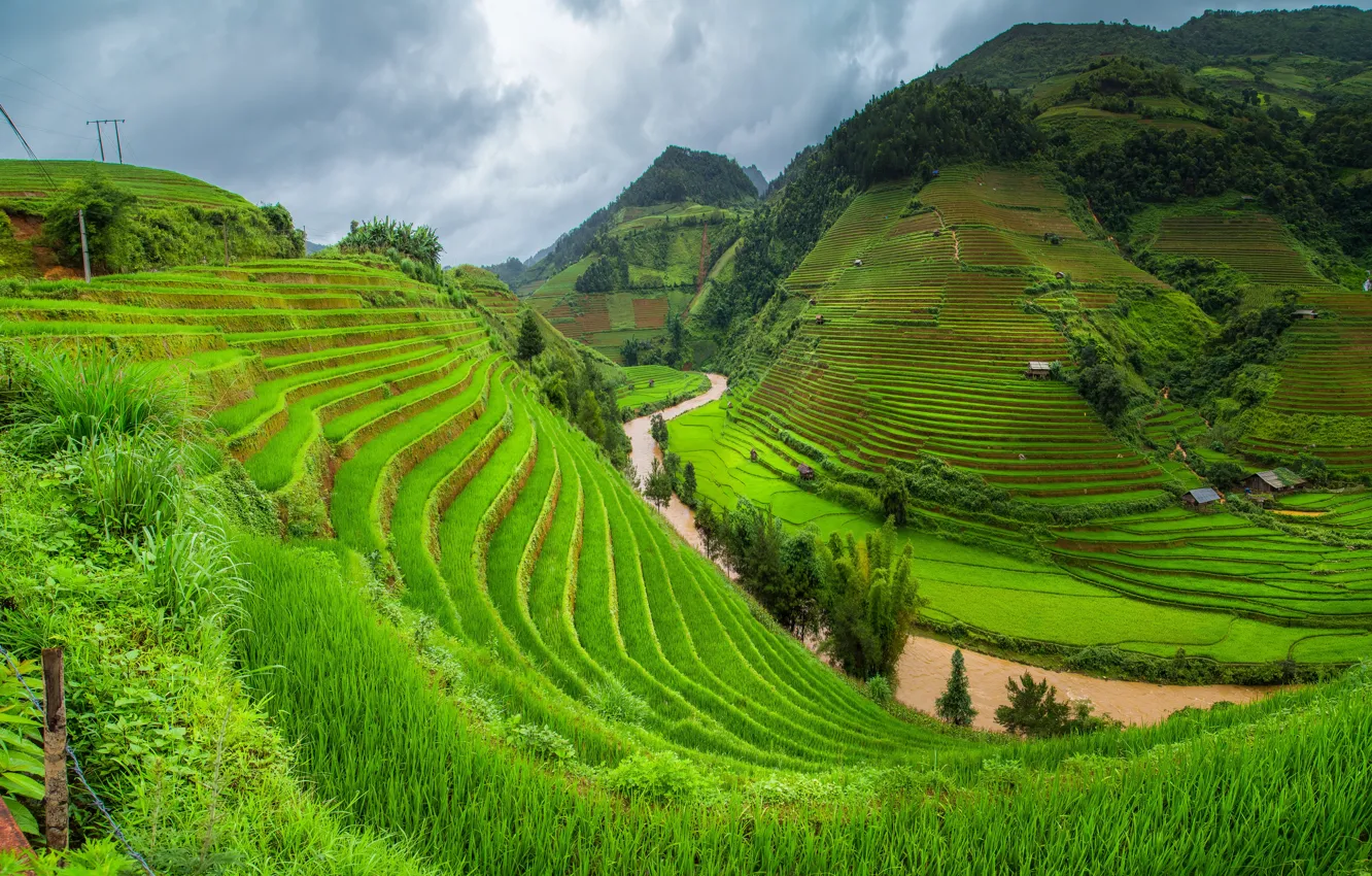 Фото обои зелень, трава, деревья, горы, домики, речка, Вьетнам, плантации