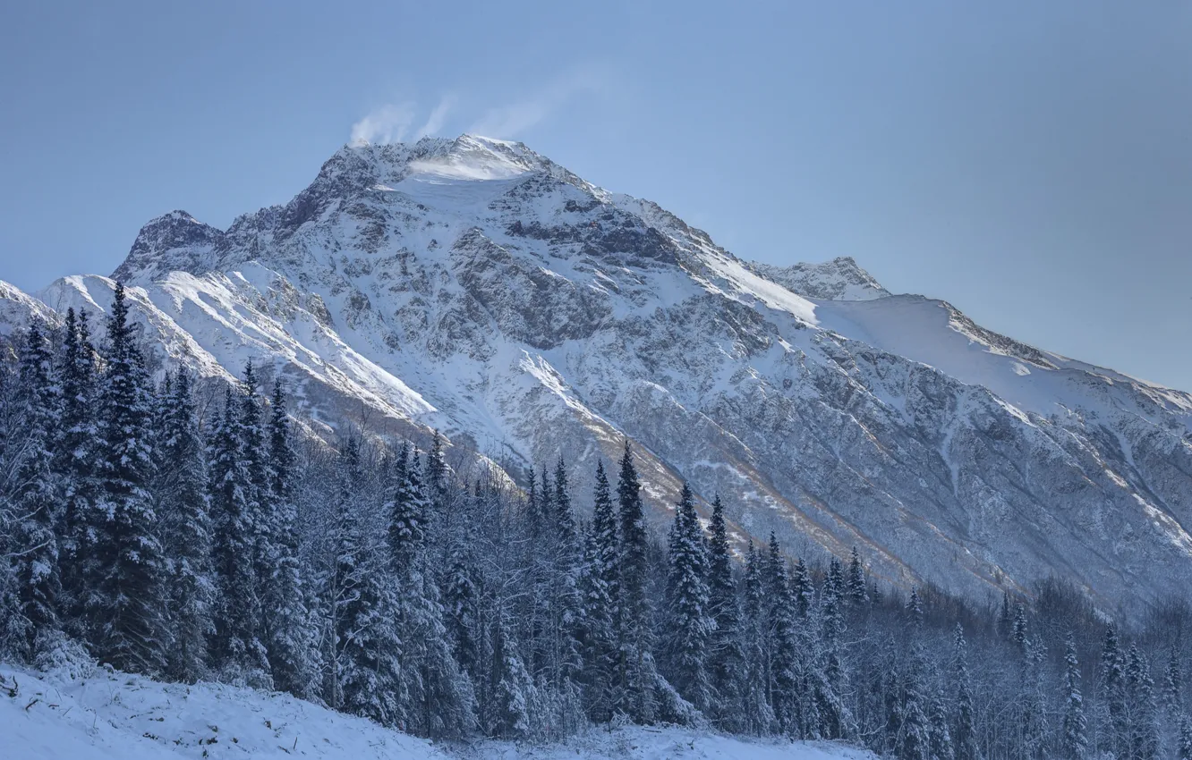Фото обои Зима, Снег, Гора