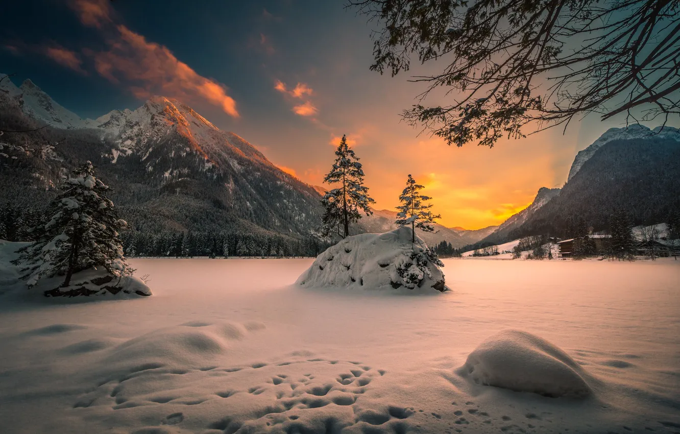 Фото обои зима, снег, закат, горы, ветки, Германия, Бавария, Альпы