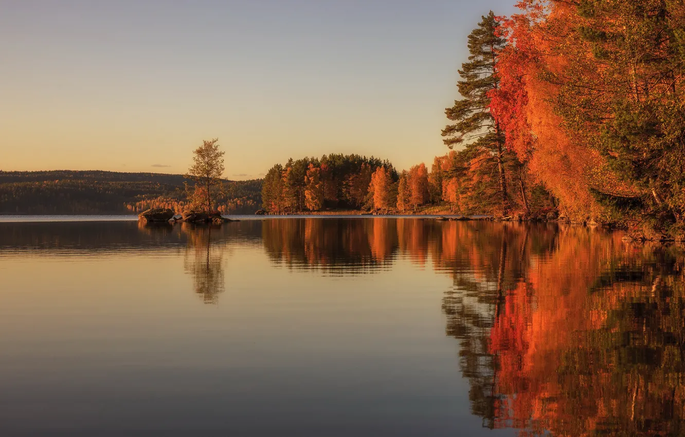Фото обои осень, лес, небо, деревья, озеро, отражение, берег, вечер