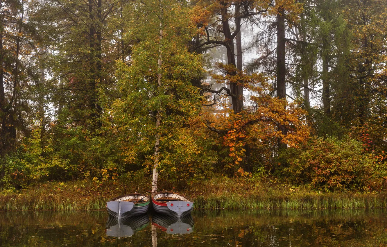 Фото обои осень, деревья, туман, пруд, парк, камыши, лодки, Санкт-Петербург