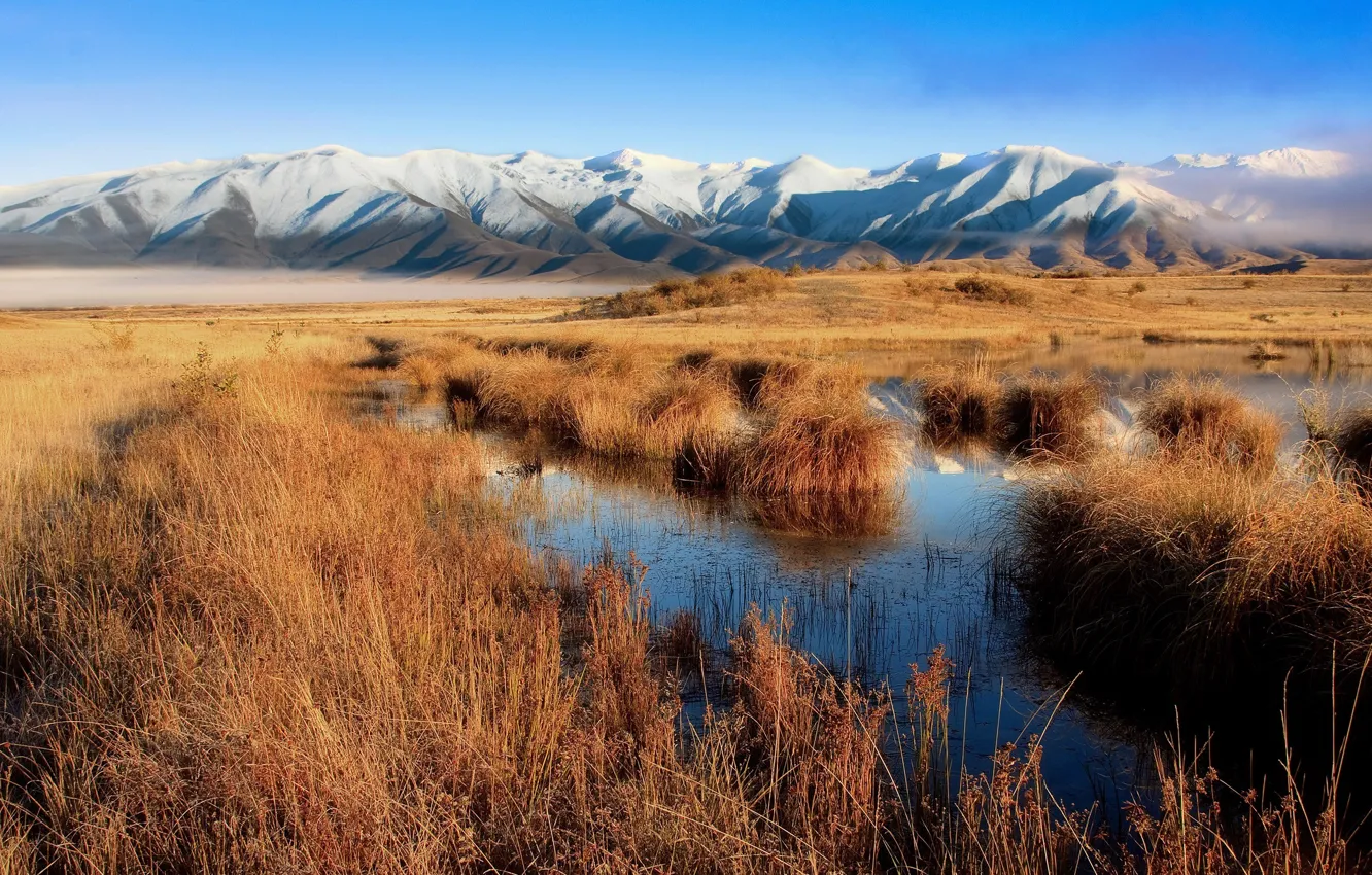 Фото обои трава, горы, Новая Зеландия, Болото