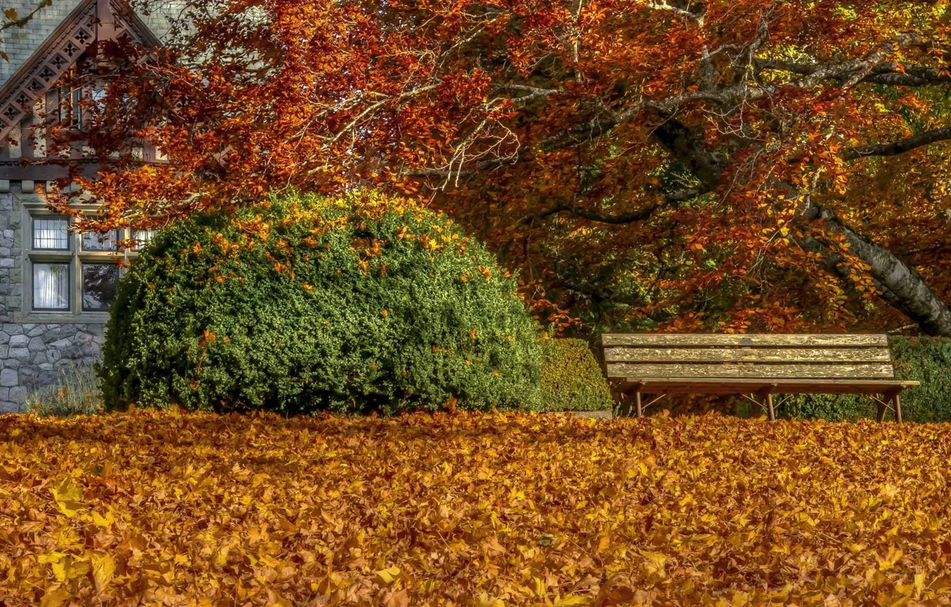 Фото обои осень, листья, дом, скамья