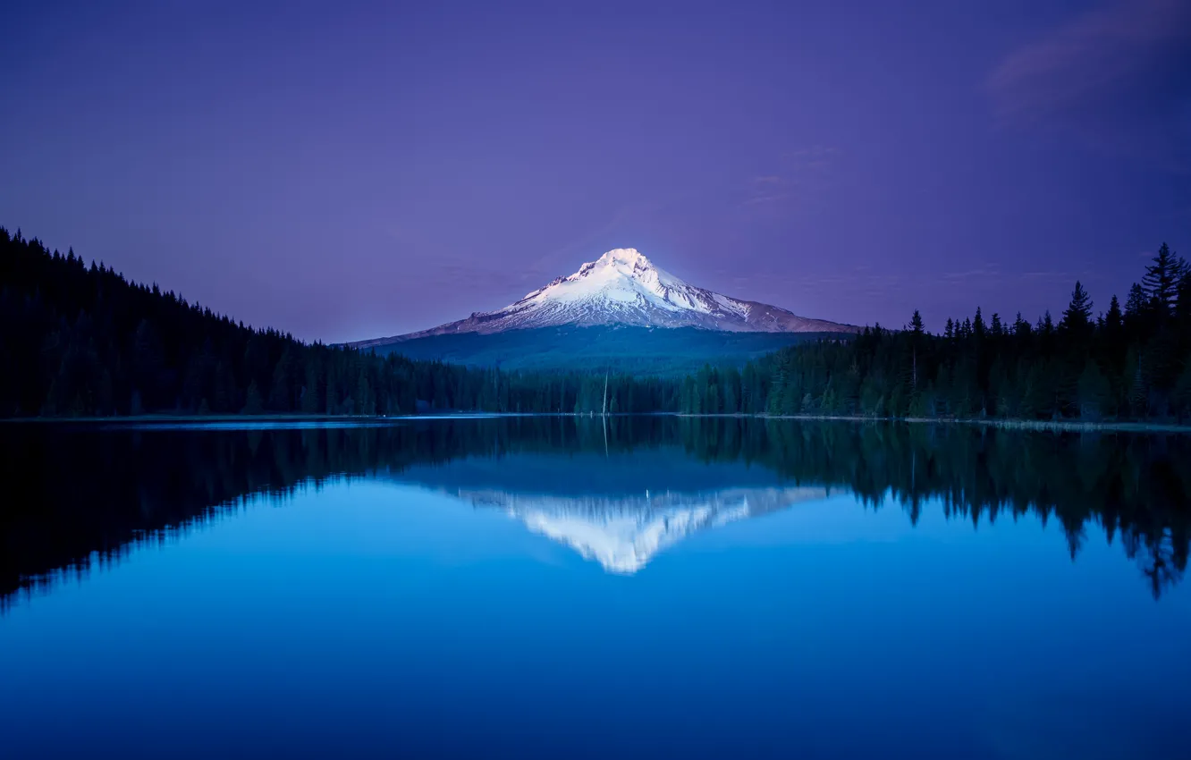 Фото обои лес, небо, снег, озеро, отражение, гора