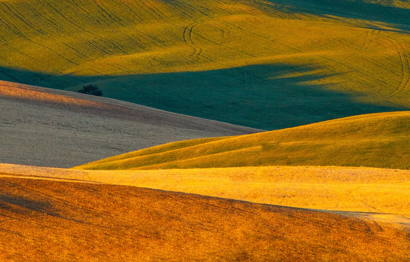 Фото обои природа, поля, Италия, ковры, Тоскана