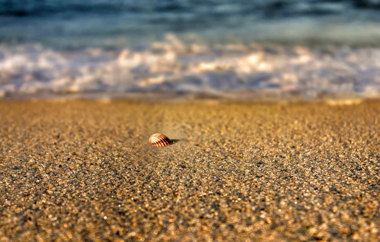 Фото обои песок, море, пляж, лето, вода, макро, природа, река