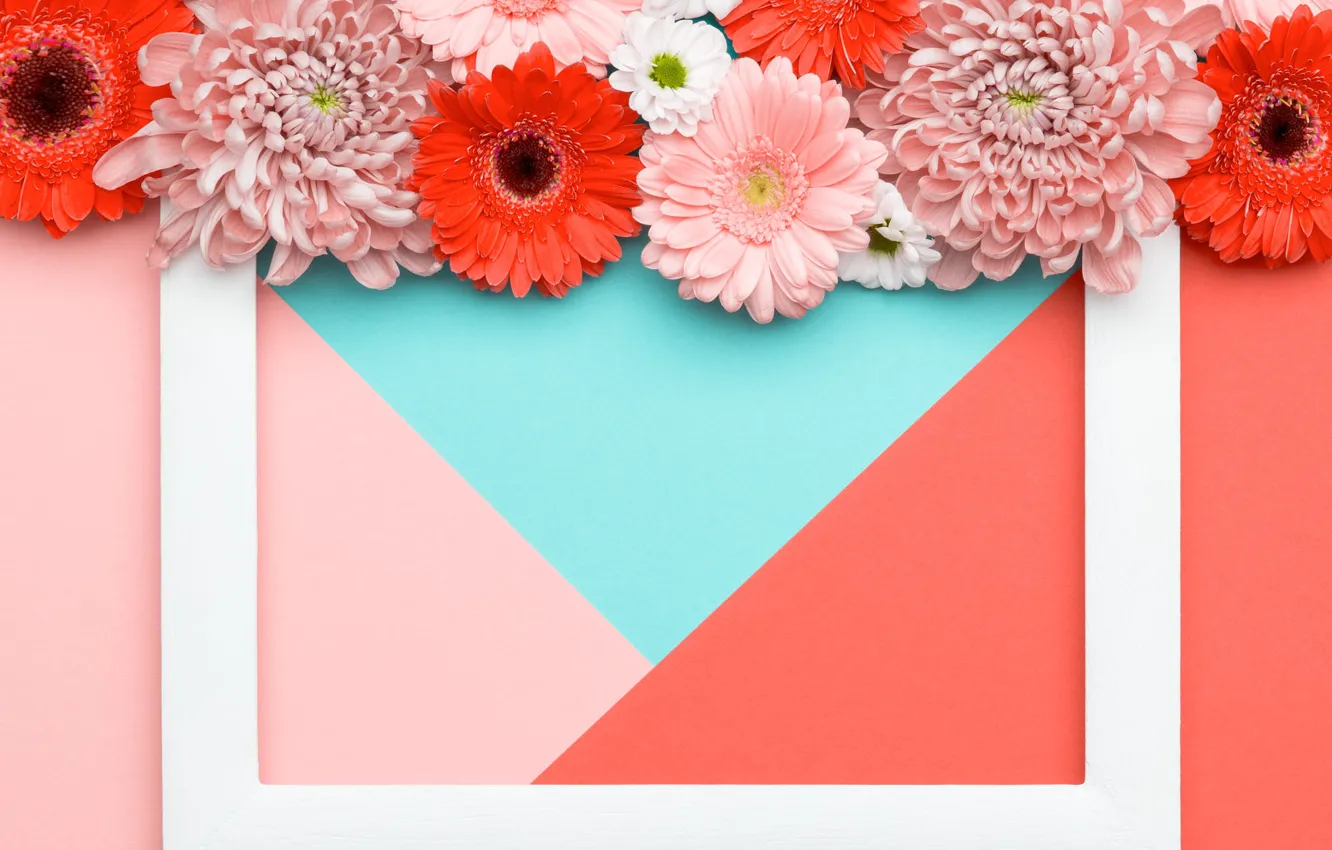 Фото обои линии, цветы, оранжевый, фон, розовый, праздник, голубой, треугольники