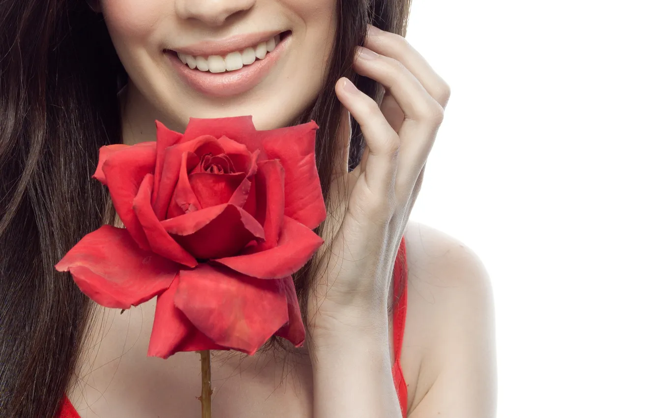 Фото обои цветок, девушка, улыбка, фон, модель, роза, рука