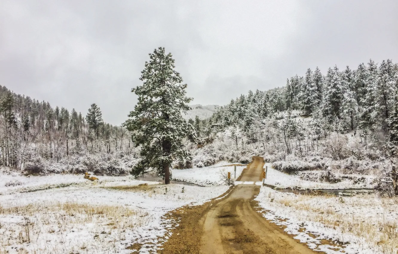Фото обои дорога, снег, природа
