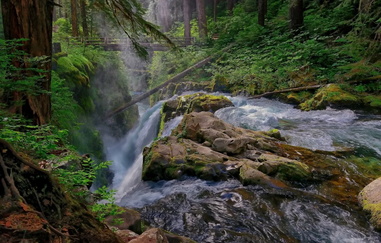 Фото обои лес, мост, река, водопад, Washington, Olympic National Park, Sol Duc Falls