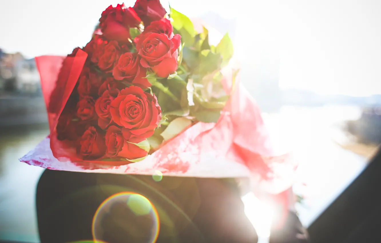 Фото обои цветы, подарок, розы, лепестки, красные