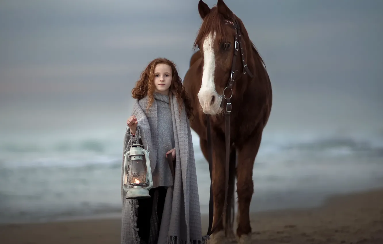 Фото обои конь, девочка, фонарь
