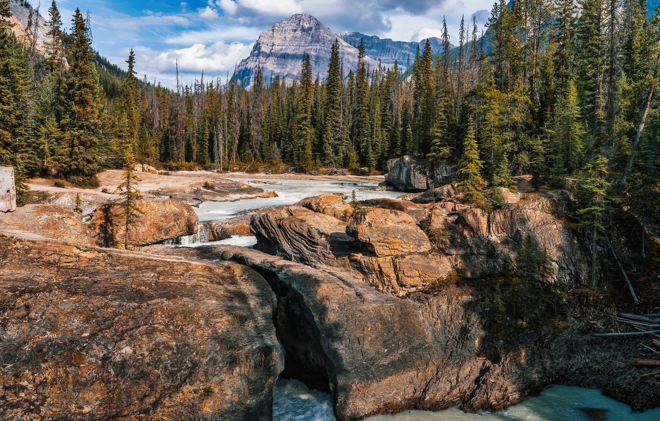 Фото обои горы, река, скалы, Канада, Yoho National Park