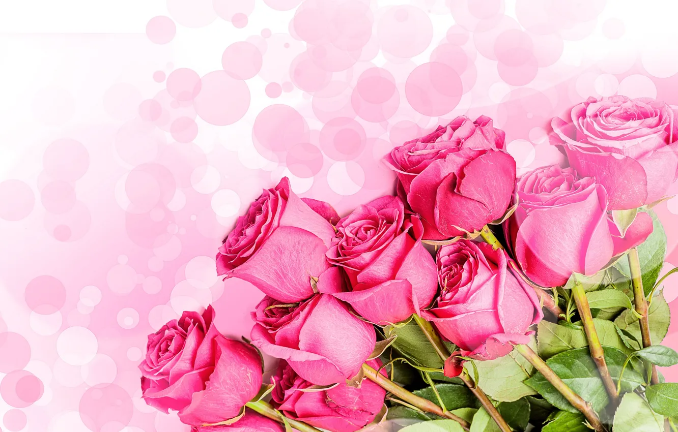 Фото обои цветы, букет, розовый фон, розовые розы