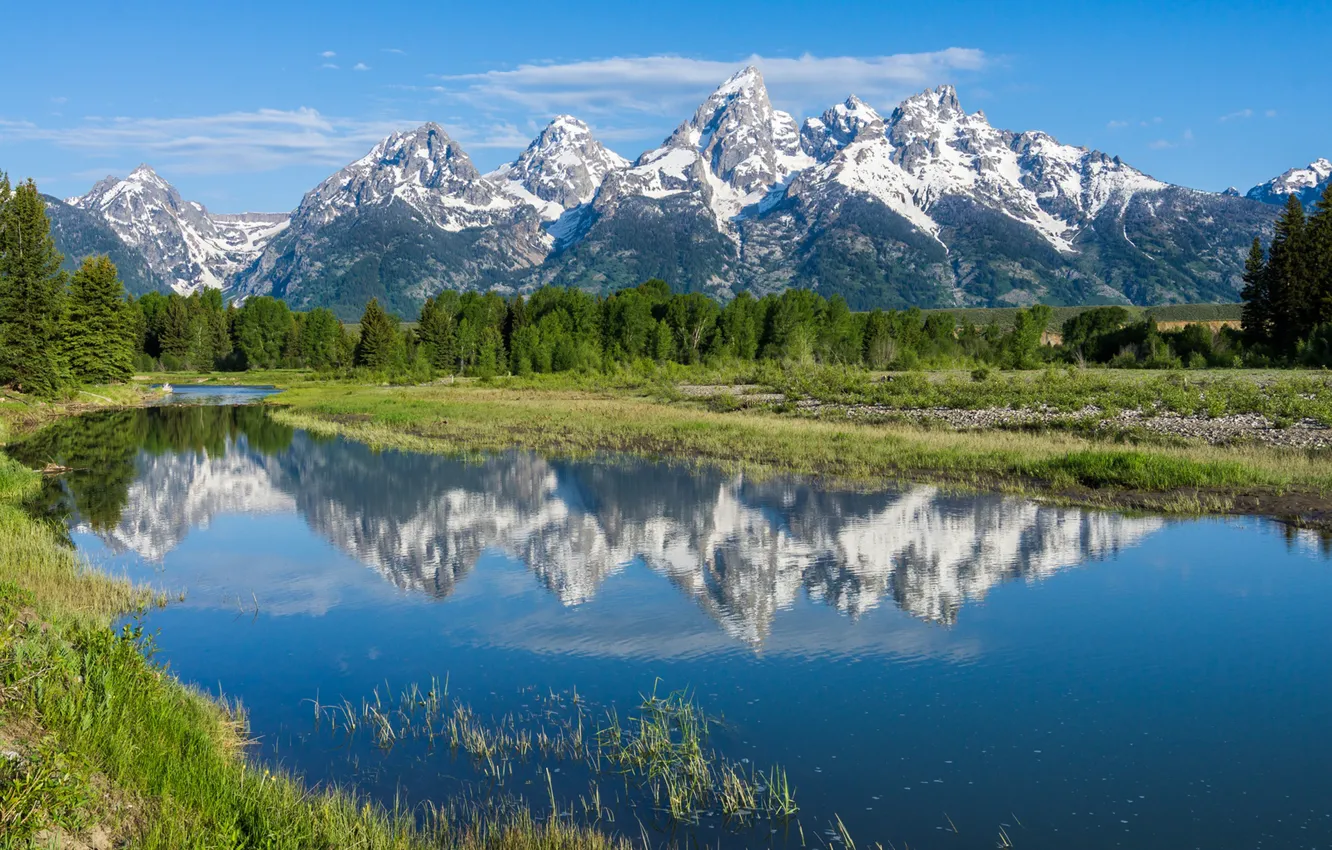 Фото обои деревья, горы, отражение, река, Вайоминг, Wyoming, Grand Teton National Park, Скалистые горы