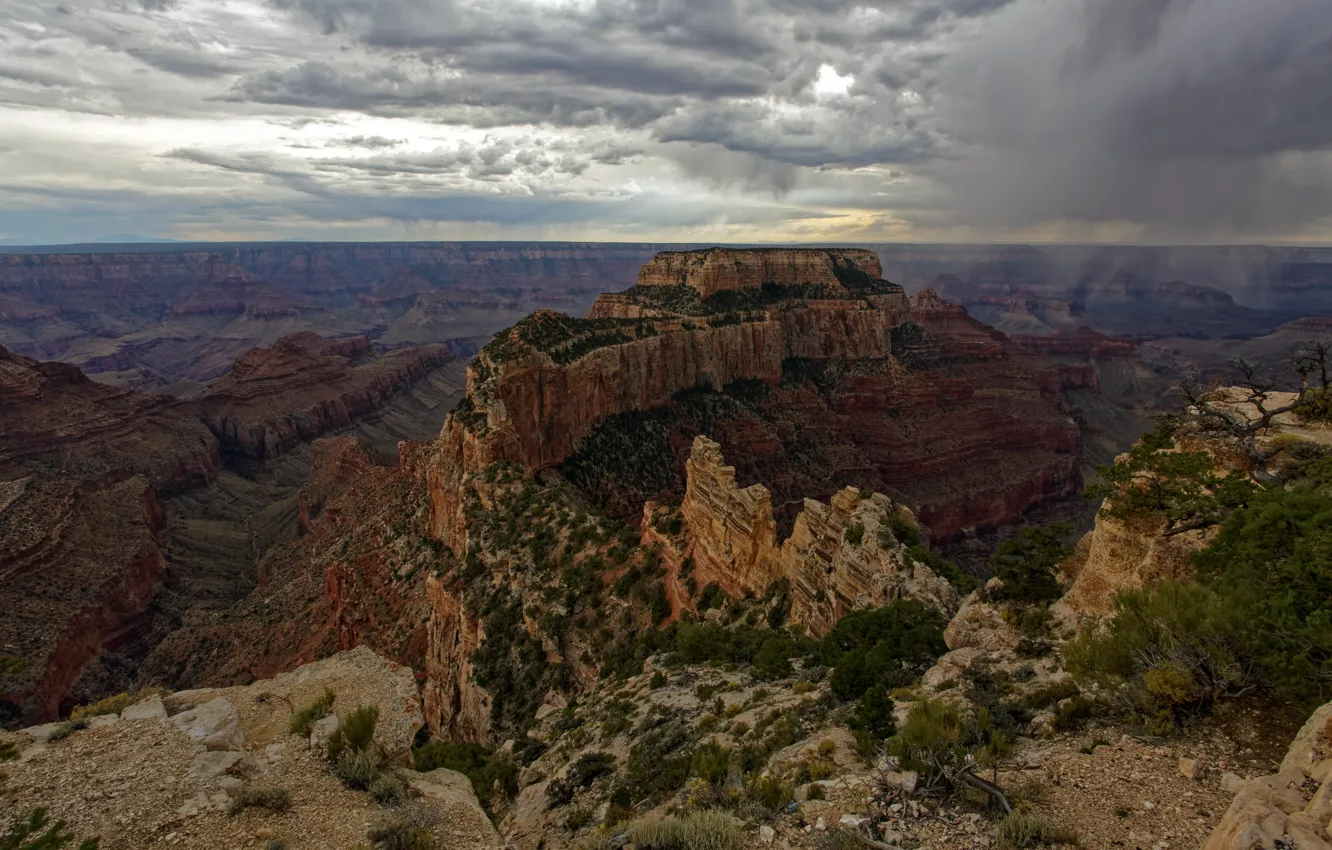 Фото обои Аризона, США, Grand Canyon, National Park, North Rim