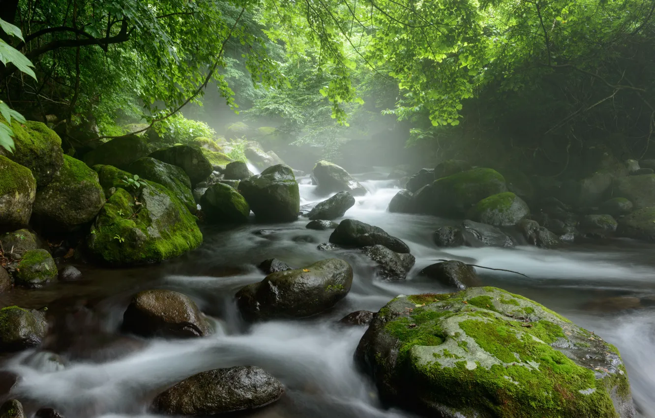 Фото обои вода, река, камни, мох, поток