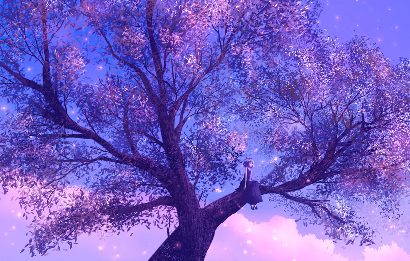 Фото обои закат, дерево, вечер, девочка, сидит на ветке